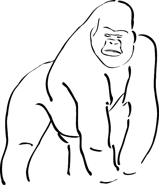 Simple, Outline, Body, Art, Long, Gorilla, Limbs, Limb - Sketch Of A Gorilla (550x640), Png Download
