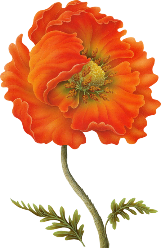 Яндекс - Фотки - Картинки Для Декупажа (519x800), Png Download
