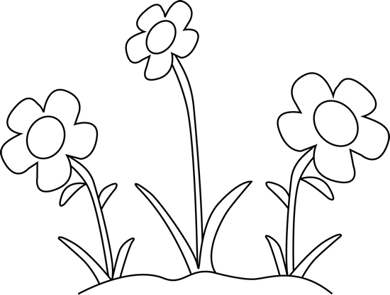 Spring Clipart Outline - Black And White Clipart Flower (550x417), Png Download
