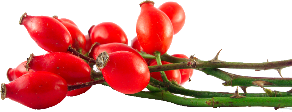 Herb & Hedgerow Rosehips - Radha Rosehip Oil Acne (1000x743), Png Download