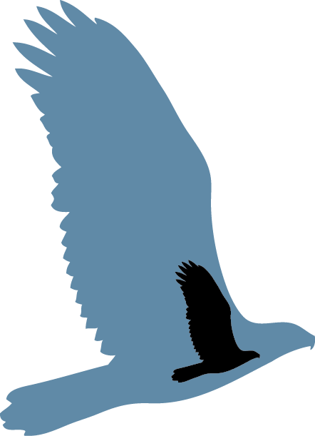 Scars Of War Foundation Was Established In December - Hawk (442x611), Png Download