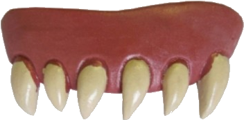 Horror Teeth Dentures - Creative Teeth Animal Original (500x500), Png Download