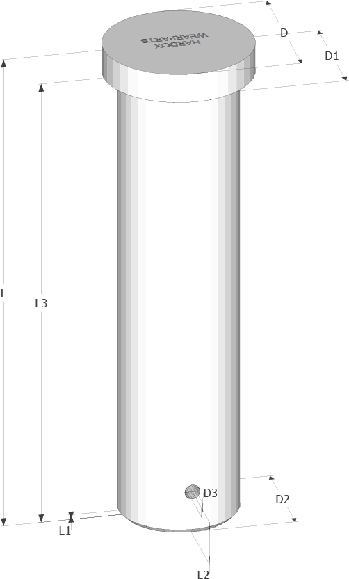 Rectum (1336x835), Png Download