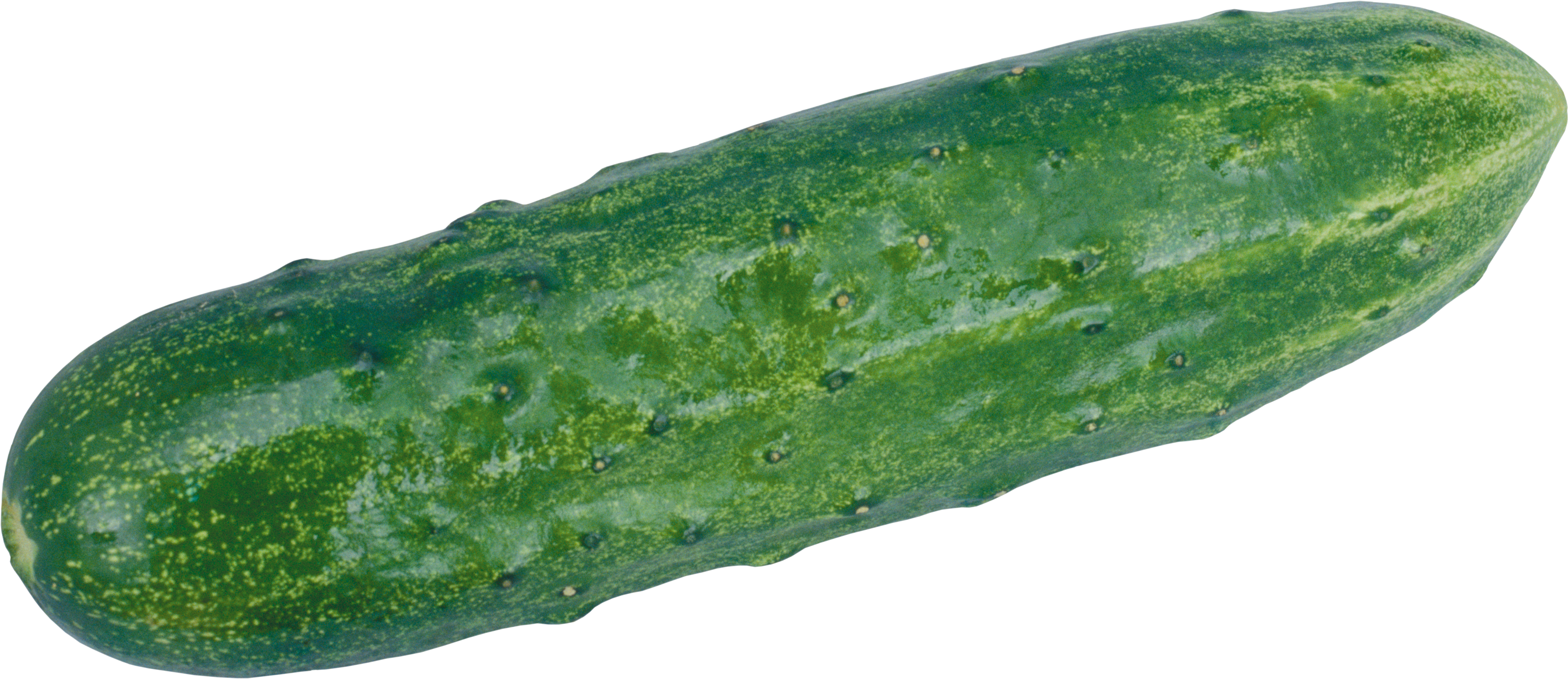 Belt Transparent Png Sticker - Cucumber Transparent (3327x1440), Png Download