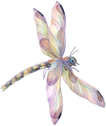 3 - Dragonfly (350x416), Png Download