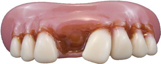 Download 10481 Quarterbuck Billy Bob Teeth 10481 Quarterbuck Fake Teeth Png Image With No Background Pngkey Com