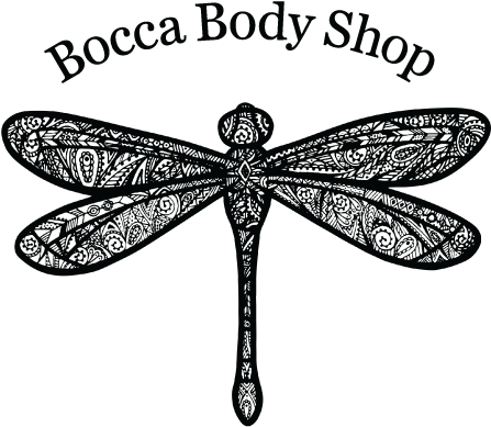 Bocca Body Shop - Net-winged Insects (489x420), Png Download