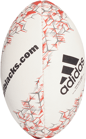 Team All Blacks Mini Rugby Ball - Adidas New Zealand Rugby Union Replica Ball - White/green (600x600), Png Download