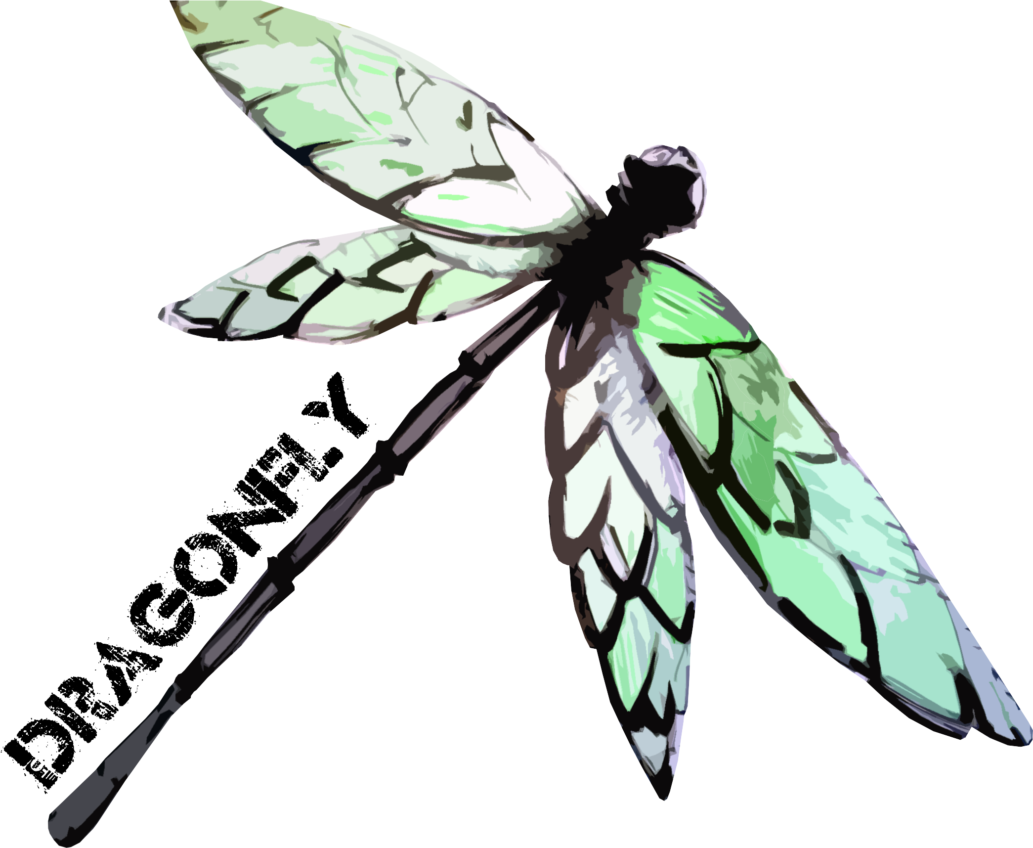 Dragonfly Pictures - Qygjxz - Pivovar Dragonfly (2560x1920), Png Download