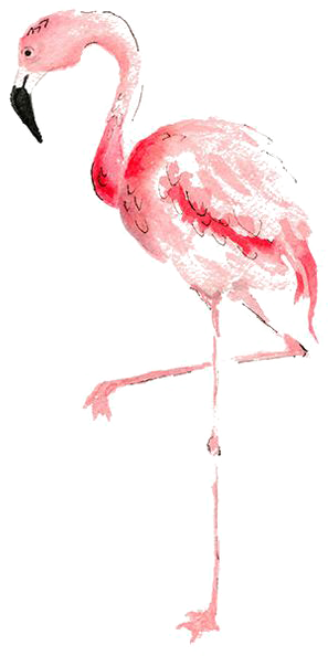 Flamingo Watercolor Painting Transprent Banner Black - Watercolor Flamingo Transparent Background (564x730), Png Download