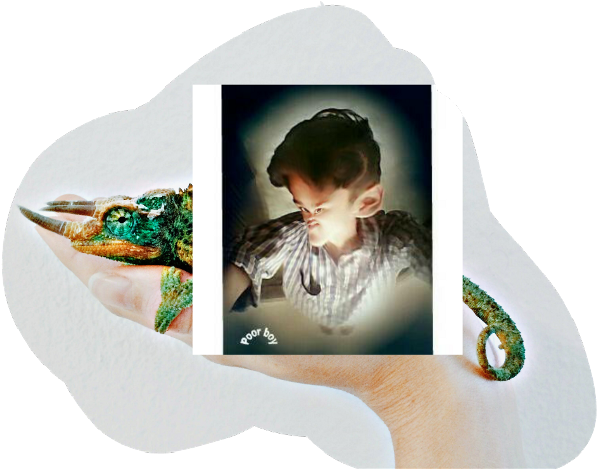 Alligator (642x480), Png Download