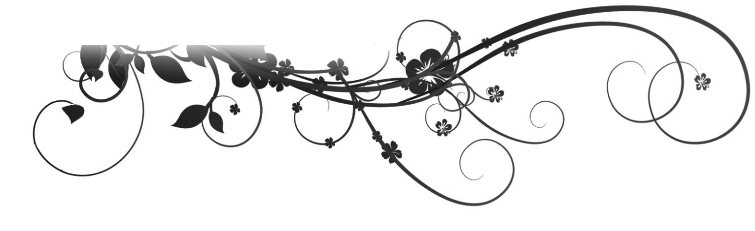 Portable Network Graphics (1600x620), Png Download