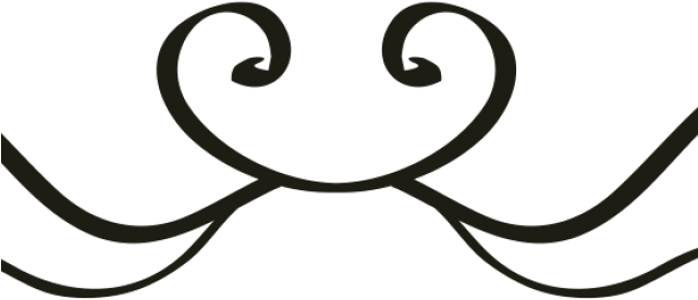 Page Divider (640x480), Png Download