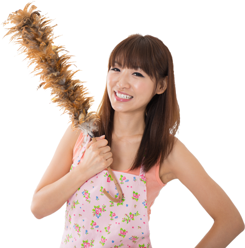 Penang Cleaner For Cleaning Services - Cleaning (489x500), Png Download