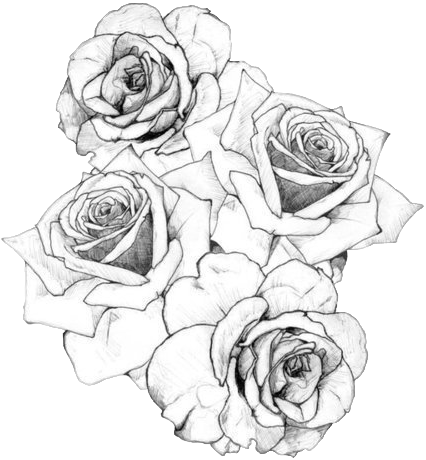 Stumblr Static Black White Roses Tattoo - Rose Arm Tattoo Stencils (426x460), Png Download