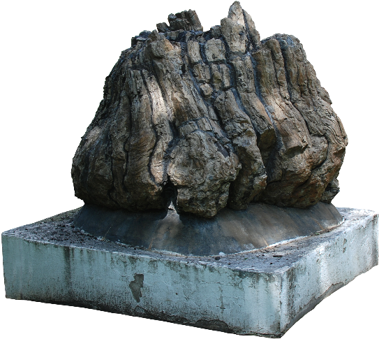 Petrified Rock Tree Trunk Png - Rock (800x600), Png Download