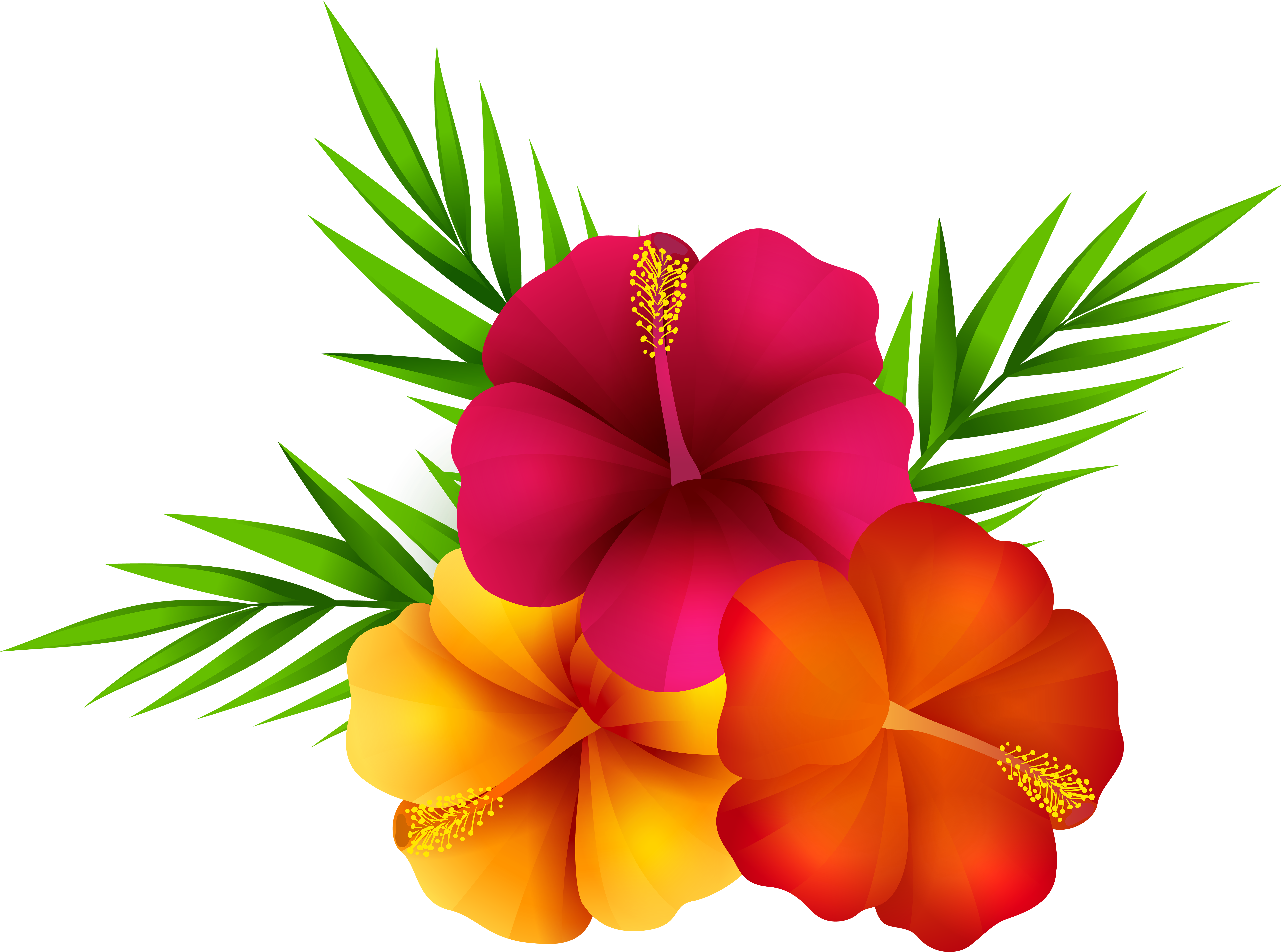 Exotic Flowers Png Clip Art Imageu200b Gallery Yopriceville - Tropical Flowers Transparent Background (8000x5943), Png Download