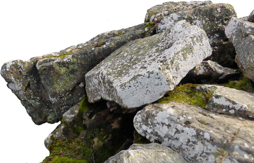 Free You're Mind (1096x729), Png Download