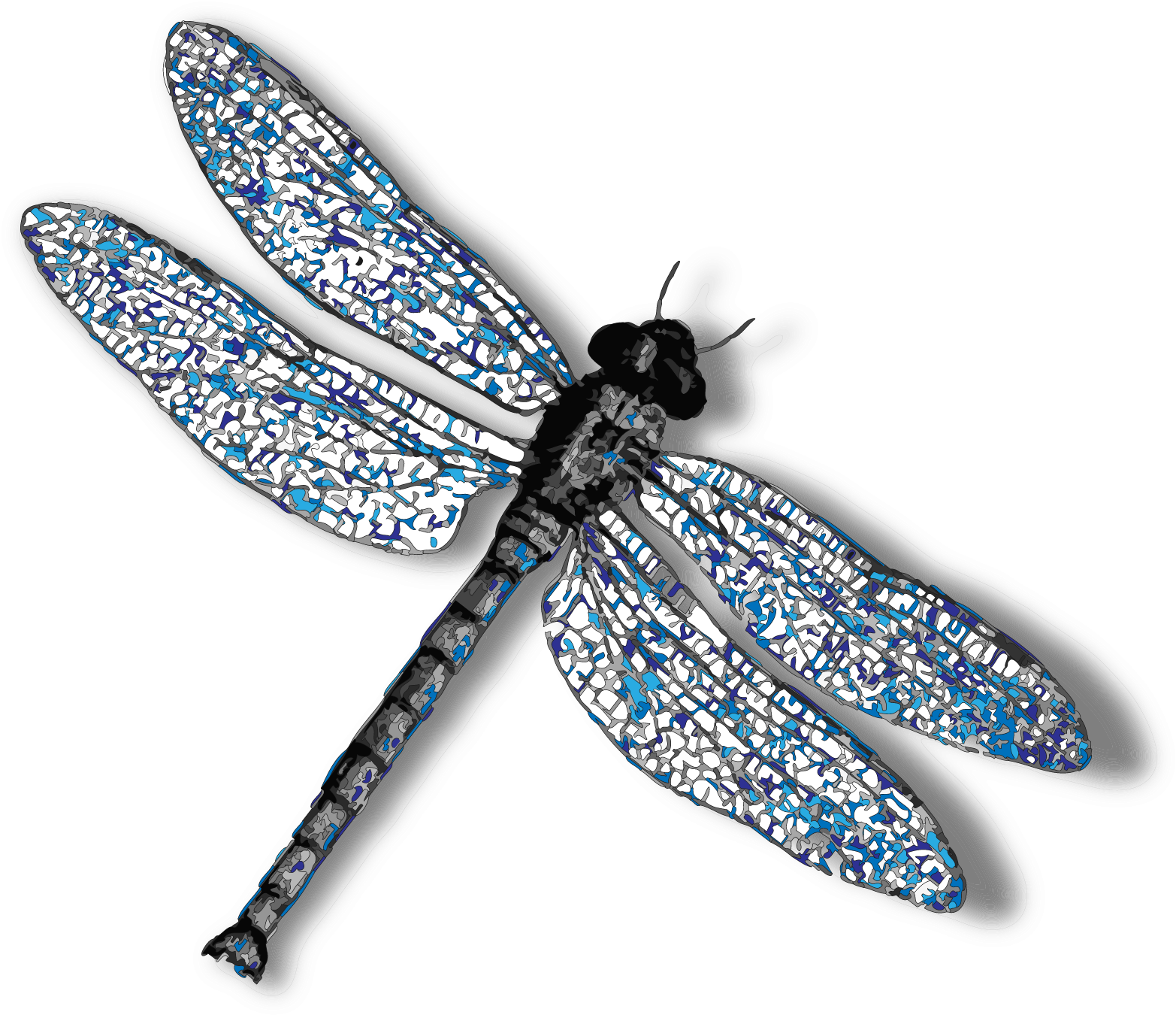 Dragonfly Png Background Image - Dragonfly With No Background (1667x1667), Png Download