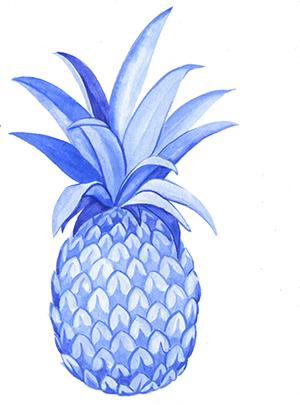I Began With Working On Botanical Elements - Pineapple (300x405), Png Download