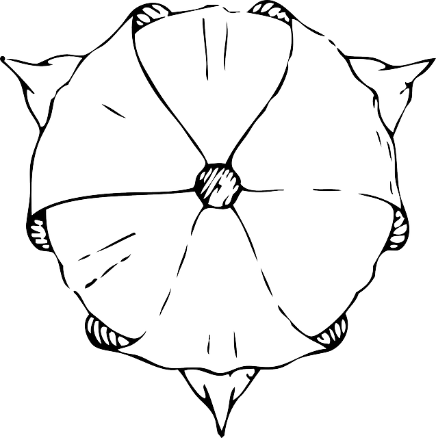 Black, Top, View, Outline, Plants, Tulips, Flower - Tulips Drawing Top View (637x640), Png Download