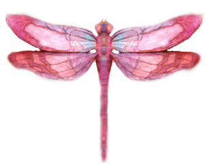 Dragonfly Wings Png View The Entire Photo Gallery - Dragonfly Transparent (400x400), Png Download