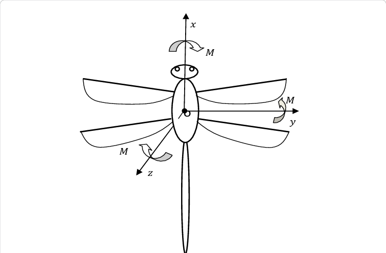 Sketch Map Of The Dragonfly - Technical Drawing (761x499), Png Download