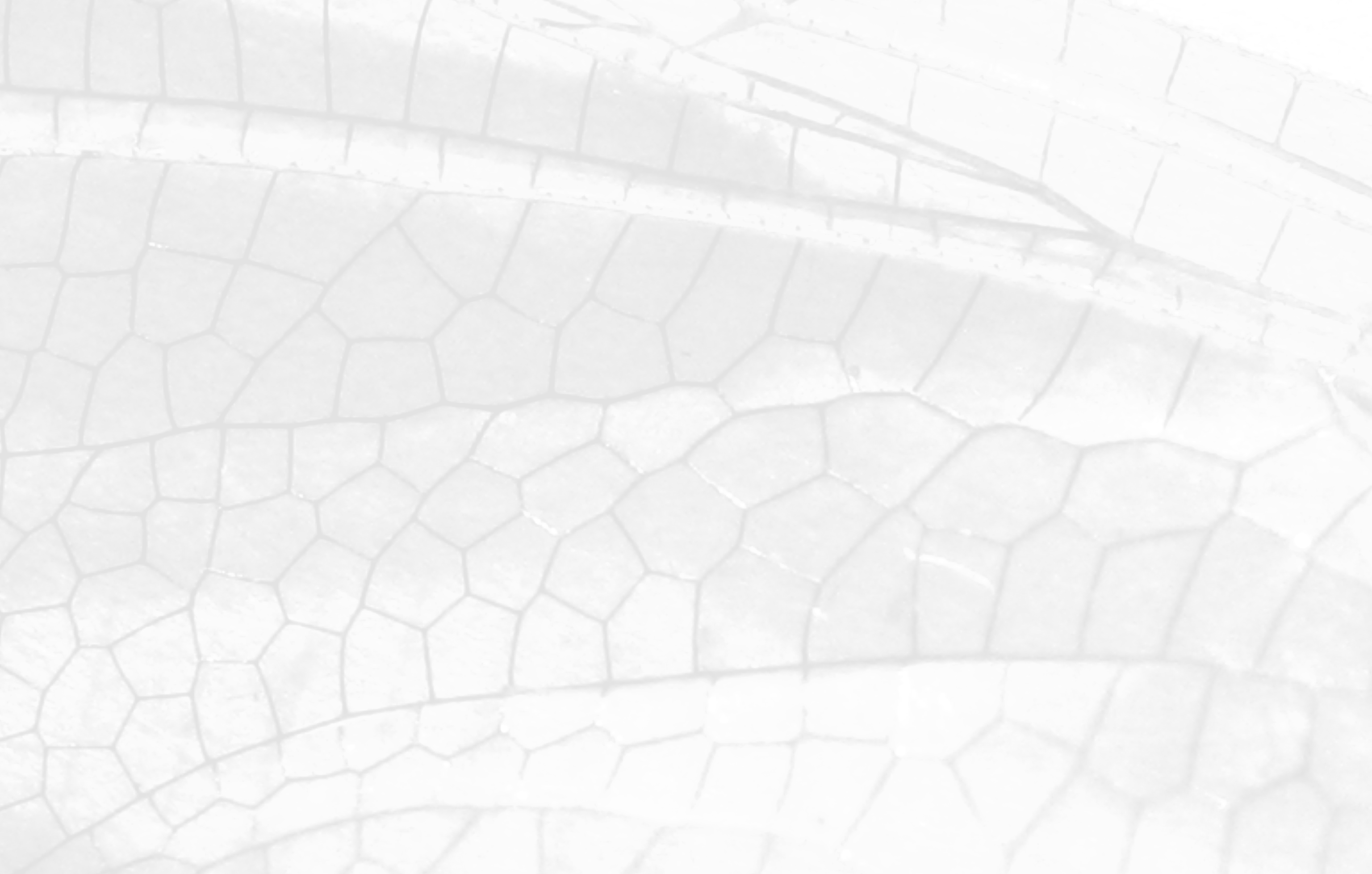Dragonfly - Dragonfly Wings (3072x1956), Png Download
