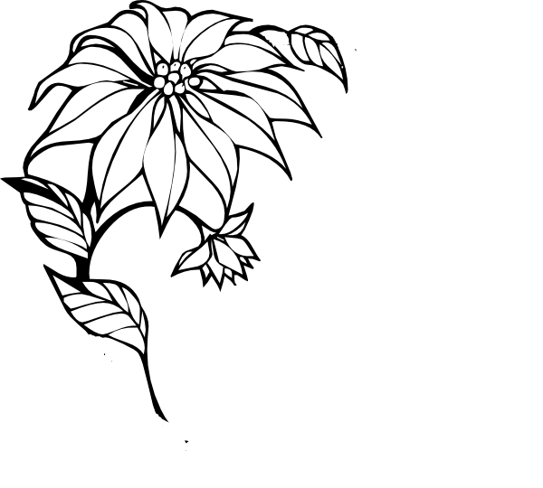 How To Set Use Christmas Flower Icon Png (600x540), Png Download