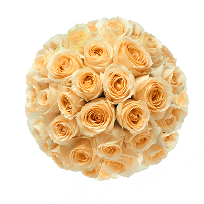 Flower Vase Top View Png (480x480), Png Download