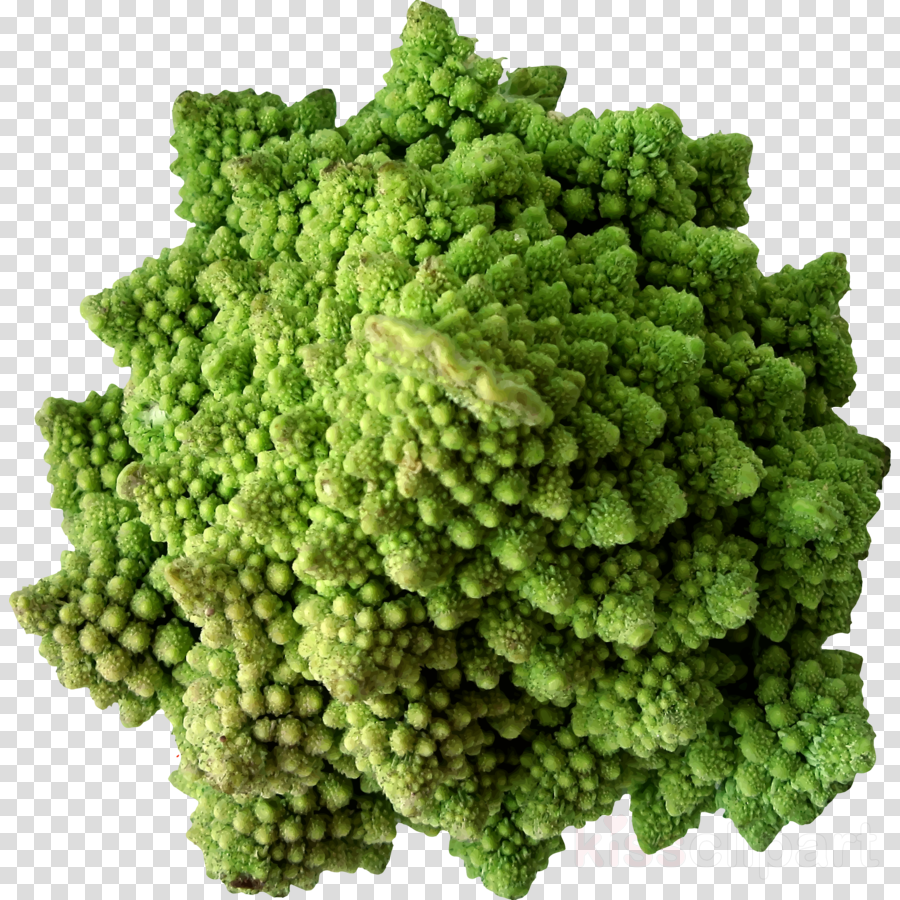 Vegetable Clipart Broccoli Cauliflower Cabbage - Vegetable (900x900), Png Download