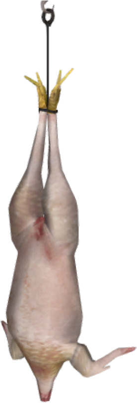 Image Chicken Dead Csgo (400x816), Png Download