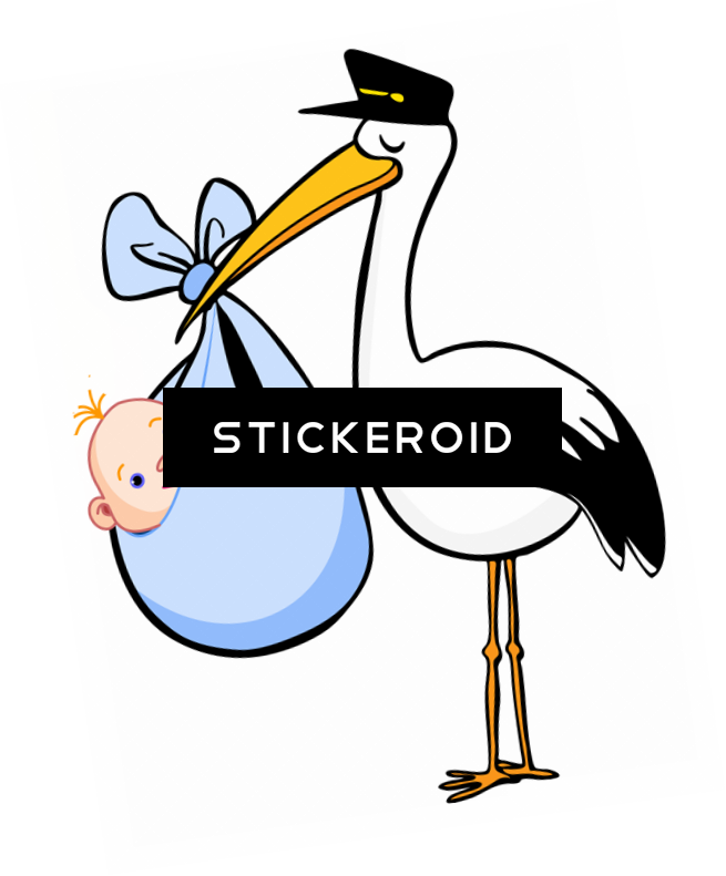 Stork Animals (655x791), Png Download