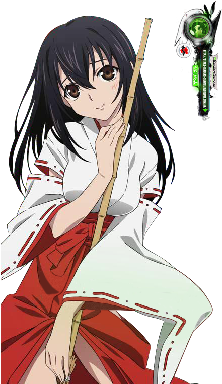 Pin By Yume On Strike The Blood - Strike The Blood Miko (456x762), Png Download