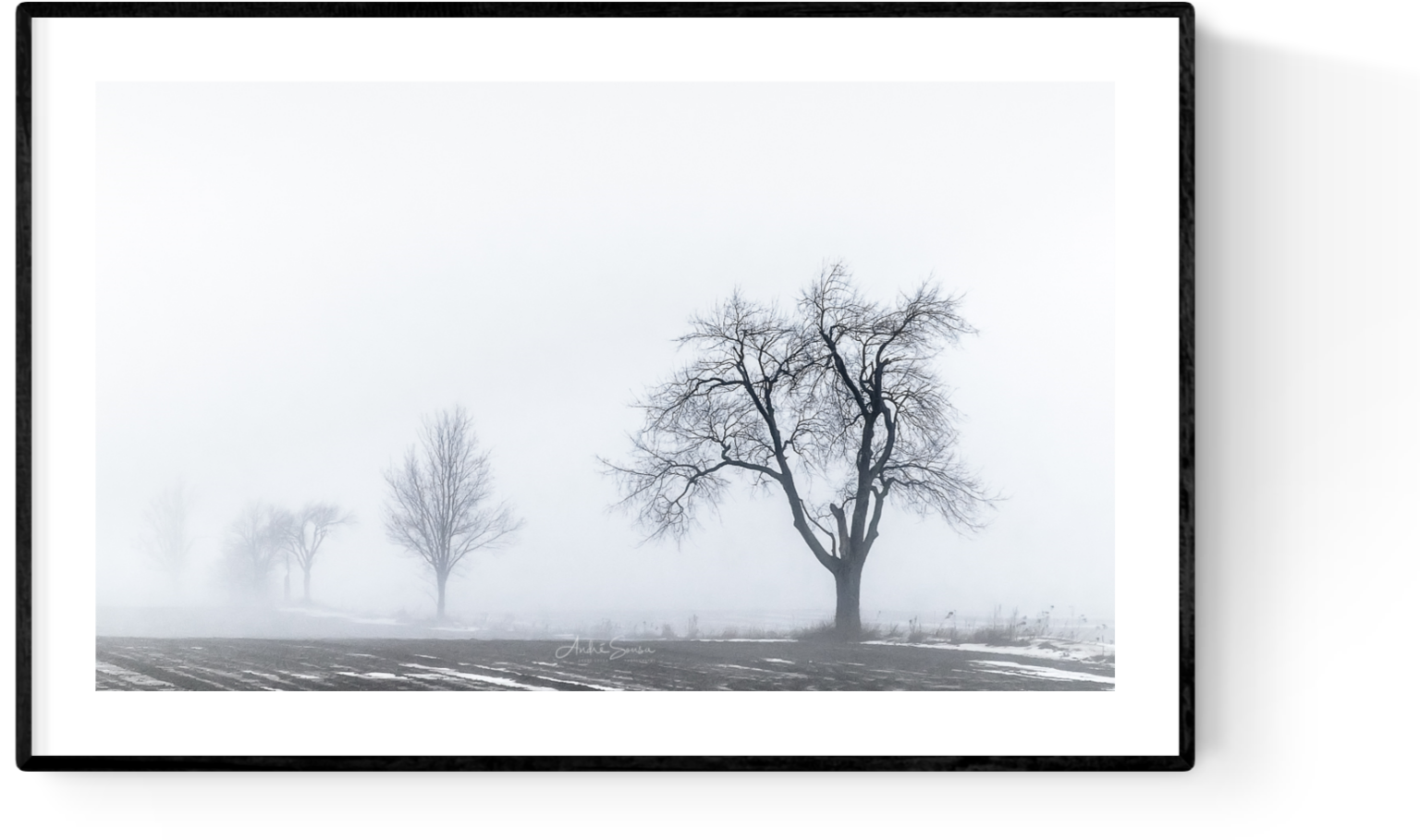 Lost In The Fog (1780x1403), Png Download