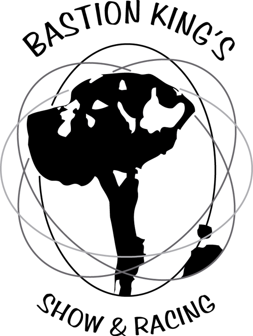 Venäjänvinttikoira, Ibizanpodengo, Jakutianlaika, Tanskandoggi - Drawing (500x662), Png Download