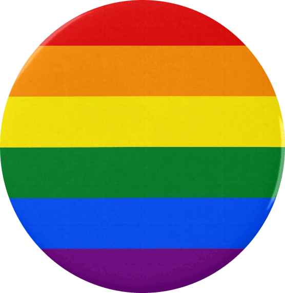 Lgbt Horizontal Rainbow Design - Gay Logo (556x570), Png Download