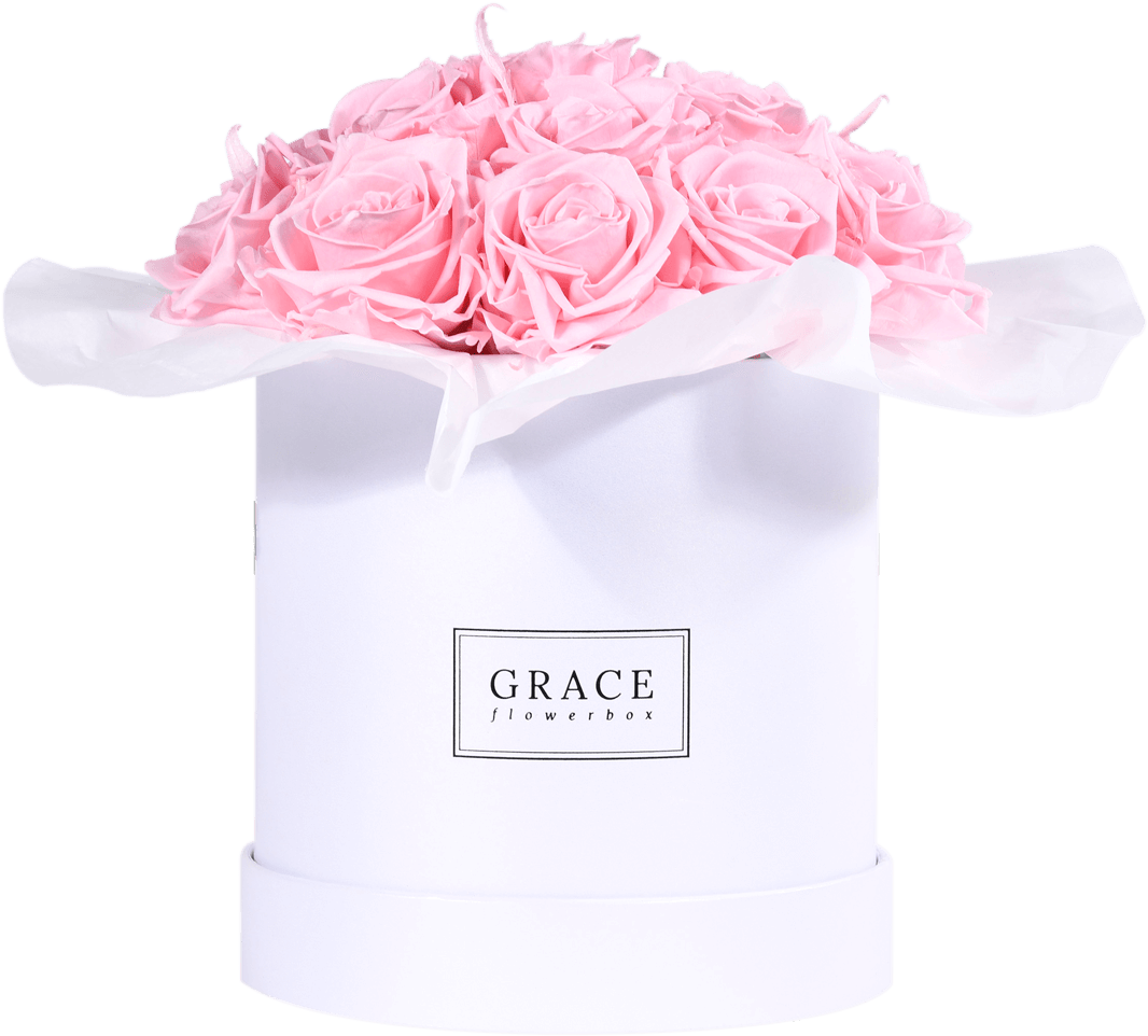 Article (1138x1200), Png Download