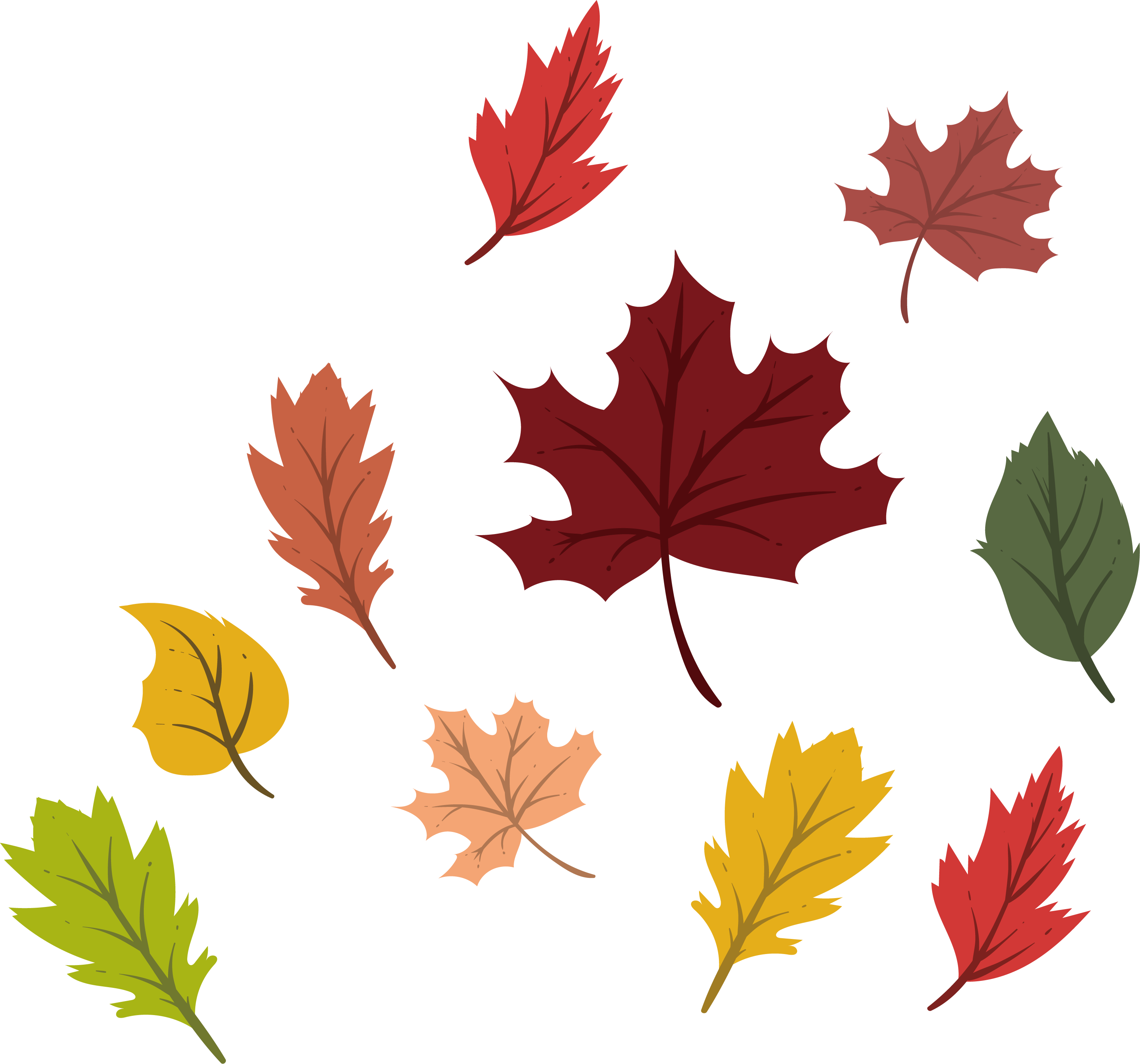 Png Black And White Maple Leaf Deciduous Leaves Transprent - Colorful Autumn Leaves Png (3100x2893), Png Download