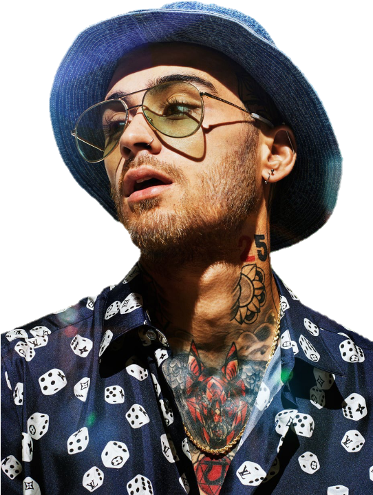 Report Abuse - Zayn Malik (541x744), Png Download