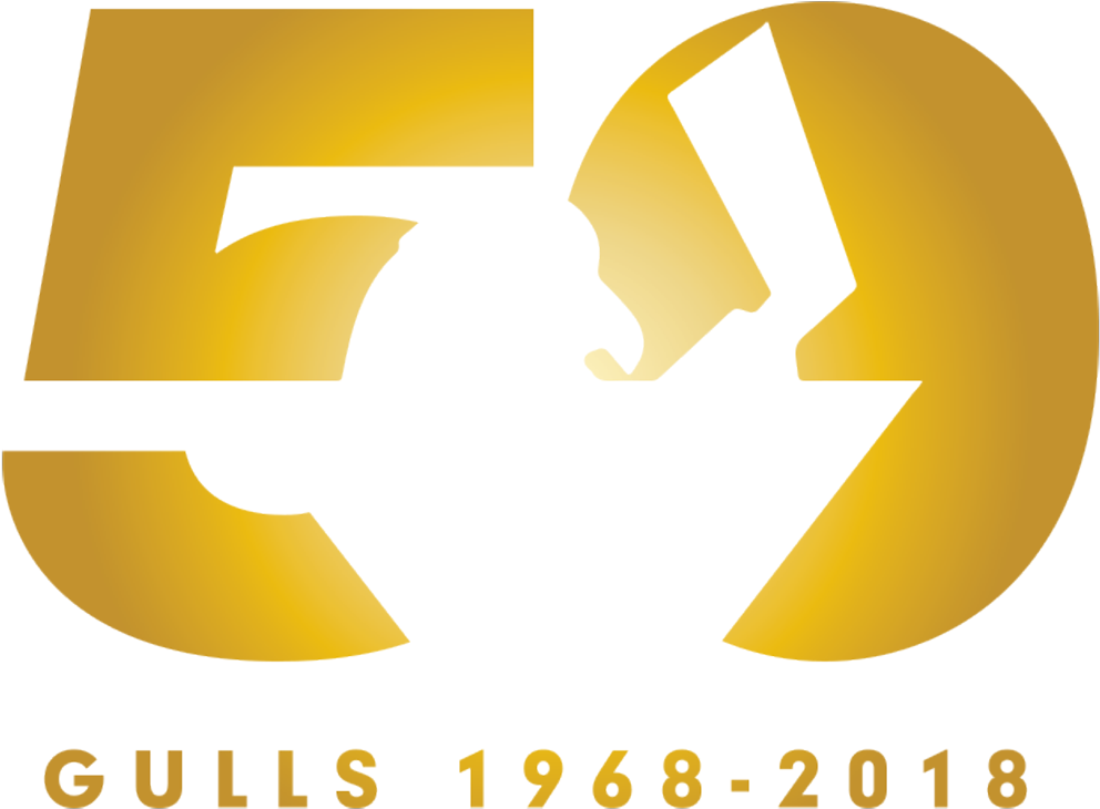 50 Years Of Hockey Excellence - Hockey (1024x760), Png Download