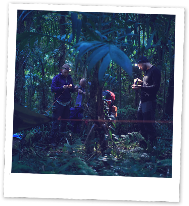Jungle Camplife - Breakfast (658x707), Png Download
