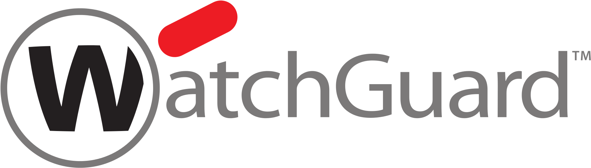 We're Experts In - Watchguard Logo (2000x590), Png Download