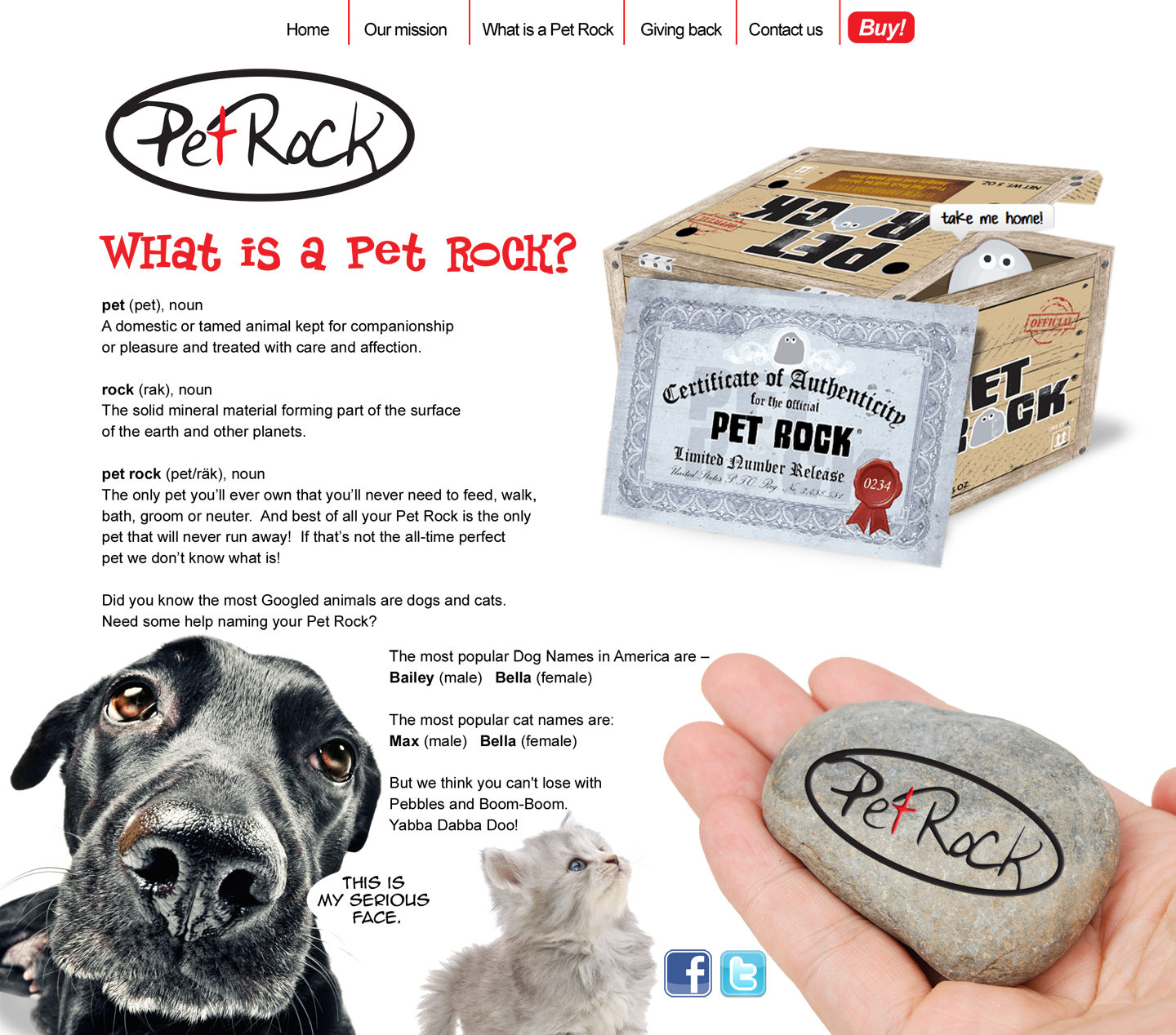 Whatis Mapped Img - Whats A Pet Rock (1440x1268), Png Download