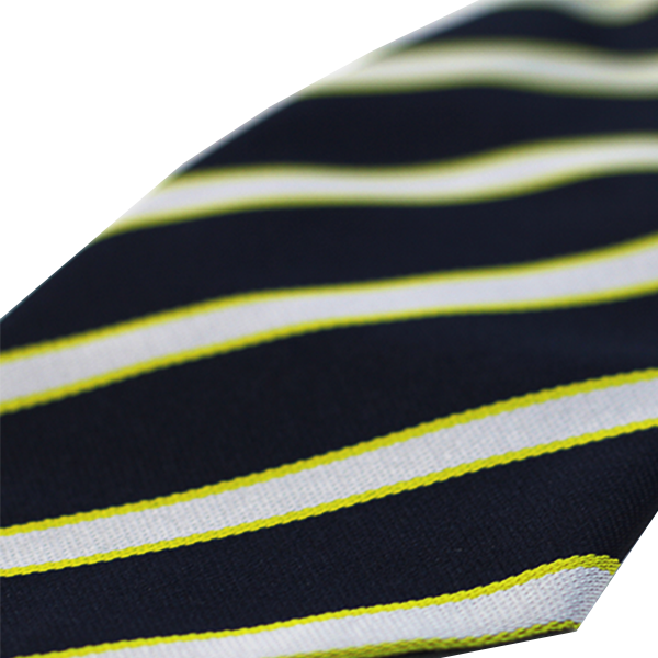 Warwickshire Ccc Members Polyester Tie - Warwickshire County Cricket Club (600x600), Png Download