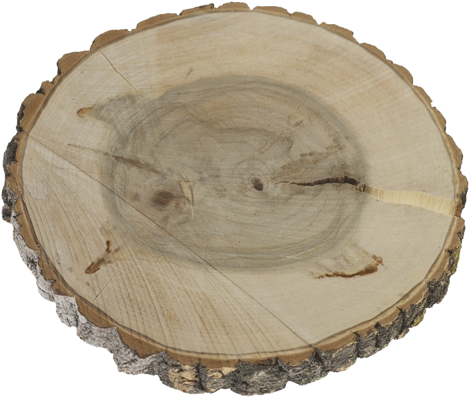 Slice Png Poplar Base With Banner Free - Poplar Wood (755x755), Png Download