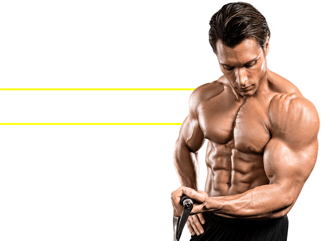 Net Collection - Hydroxycut (1200x800), Png Download