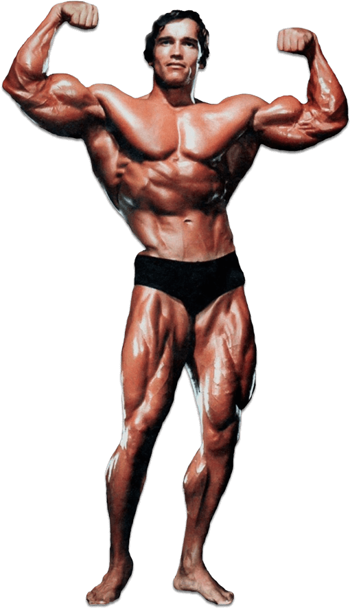 Arnold Schwarzenegger - Historyofbodybuilding - Com - Arnold Schwarzenegger - Bodybuilding Motivational Poster (518x900), Png Download
