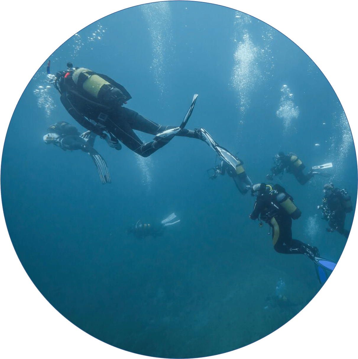 We Pride Ourselves On Only Taking Memories Of The Reef - Underwater (1258x1254), Png Download