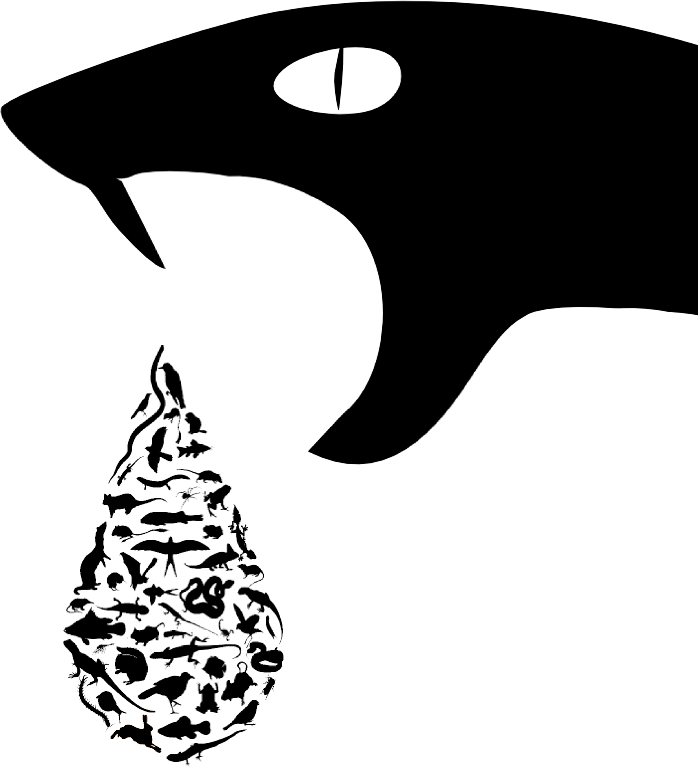 Research - Ecology And Evolution (2480x3508), Png Download